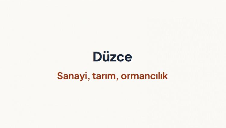 <p><span style="color:#B22222"><strong>D&Uuml;ZCE&nbsp;</strong></span></p>
