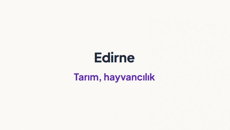 <p><span style="color:#B22222"><strong>EDİRNE&nbsp;</strong></span></p>

