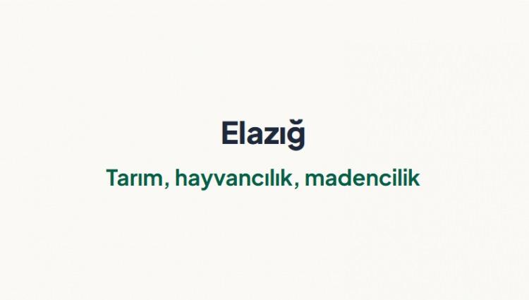 <p><span style="color:#B22222"><strong>ELAZIĞ&nbsp;</strong></span></p>
