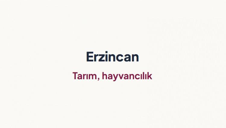 <p><span style="color:#B22222"><strong>ERZİNCAN&nbsp;</strong></span></p>
