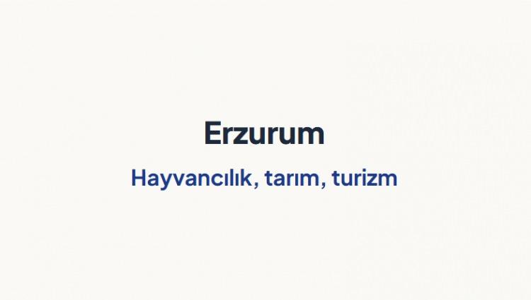 <p><span style="color:#B22222"><strong>ERZURUM&nbsp;</strong></span></p>
