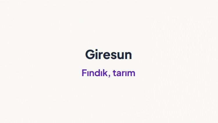 <p><span style="color:#B22222"><strong>GİRESUN&nbsp;</strong></span></p>

