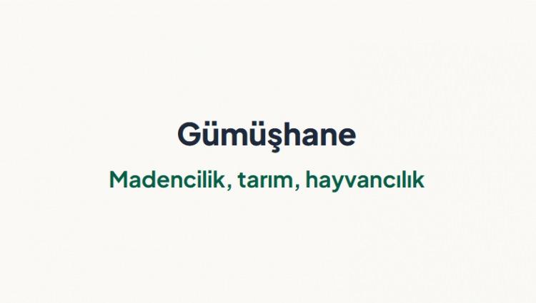 <p><span style="color:#B22222"><strong>G&Uuml;M&Uuml;ŞHANE&nbsp;</strong></span></p>
