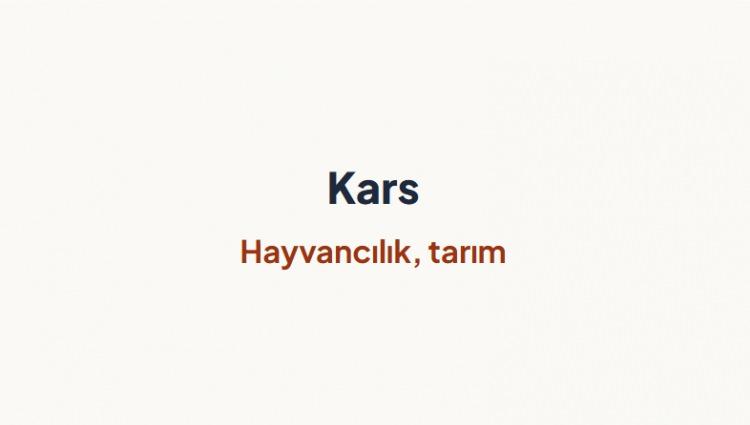 <p><span style="color:#B22222"><strong>KARS</strong></span></p>
