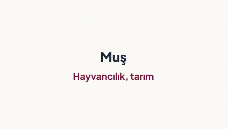 <p><span style="color:#B22222"><strong>MUŞ&nbsp;</strong></span></p>
