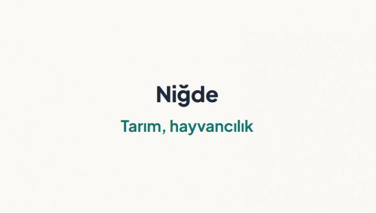 <p><span style="color:#B22222"><strong>NİĞDE&nbsp;</strong></span></p>
