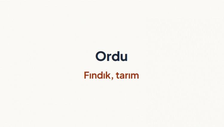 <p><span style="color:#B22222"><strong>ORDU&nbsp;</strong></span></p>
