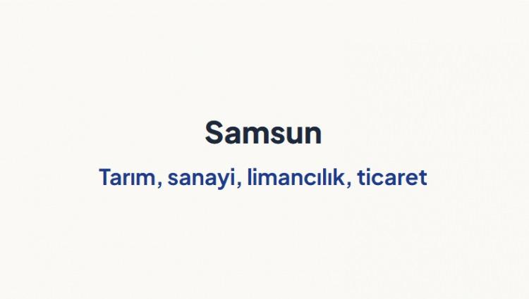 <p><span style="color:#B22222"><strong>SAMSUN&nbsp;</strong></span></p>
