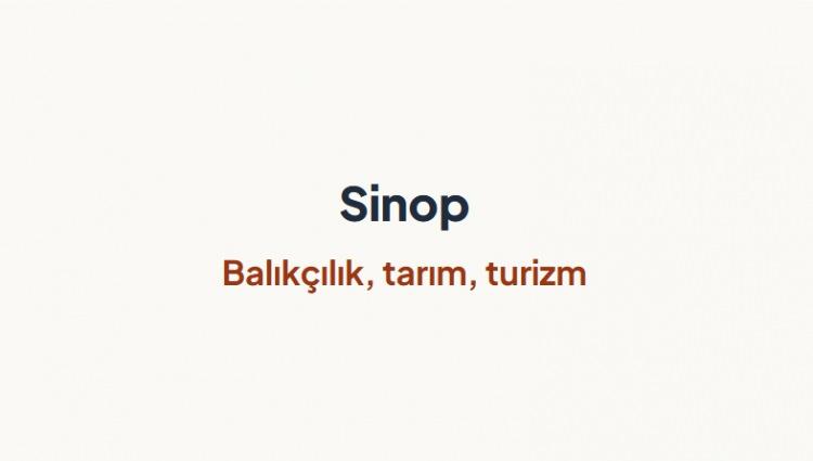 <p><span style="color:#B22222"><strong>SİNOP&nbsp;</strong></span></p>
