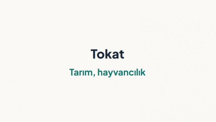 <p>TOKAT&nbsp;</p>
