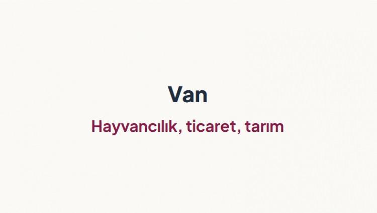 <p><span style="color:#B22222"><strong>VAN</strong></span>&nbsp;</p>
