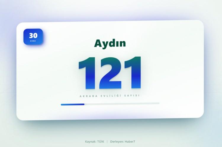 <p><span style="color:#B22222"><strong>30)&nbsp; AYDIN</strong></span></p>
