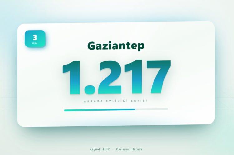 <p><span style="color:#B22222"><strong>3)&nbsp; GAZİANTEP</strong></span></p>
