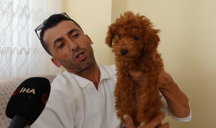 <p><span style="color:#A52A2A"><strong>"ELİME ALDIĞIMDA CANLI OLDUĞUNU FARK ETTİM"</strong></span></p>

<p>&nbsp;</p>

<p>İlk başta oyuncak sandığı k&ouml;peğin canlı olduğunu fark edince hayrete d&uuml;şt&uuml;ğ&uuml;n&uuml; belirten G&uuml;rlevik, <strong><em>"Elime aldığımda canlı olduğunu fark ettim. K&ouml;peğin unutulacağını zannetmiyorum. Biz otob&uuml;ste her şeyi buluyoruz, değerli eşya olsun, &ccedil;anta olsun, c&uuml;zdan olsun. K&ouml;pek ilk defa denk geldi. Sahibinin terk ettiğini, yani unuttuğunu d&uuml;ş&uuml;nm&uuml;yorum. &Ccedil;&uuml;nk&uuml; otokarda inenler oldu, acil inip gidenler oldu. Ben de sahiplendim, veterinere g&ouml;t&uuml;rd&uuml;m. Herhangi bir &ccedil;ip olmadığı i&ccedil;in &ccedil;ipini dağıttırdım. Aşılarını sağlık kontrollerini g&ouml;zden ge&ccedil;irttim. İsmini şu an karamel olarak d&uuml;ş&uuml;nd&uuml;m de, şu an i&ccedil;in karamel diyorum."</em></strong> ifadelerini kullandı.</p>

