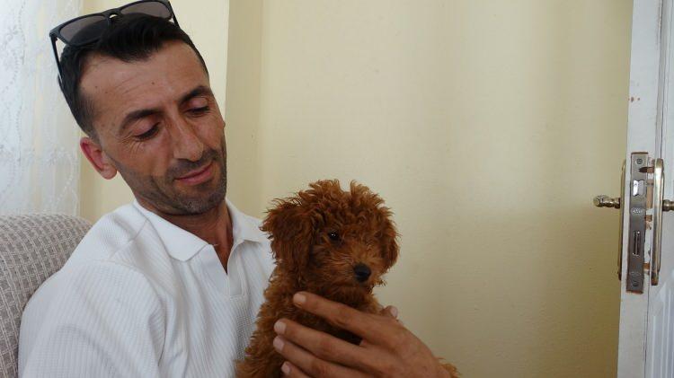<p>Kramel'in aşılarını yaptıran ve &ccedil;ipini taktıran Necati G&uuml;rlevik <em><strong>"Akşam mesai bittikten sonra otob&uuml;s&uuml;n i&ccedil;in rutin kontrol ediyoruz. Kontrol sırasında bu k&ouml;peği koltuğun &uuml;zerinde g&ouml;rd&uuml;m. İlk başta g&ouml;rd&uuml;ğ&uuml;mde oyuncak zannettim, kımıldamıyordu."</strong></em> dedi.</p>
