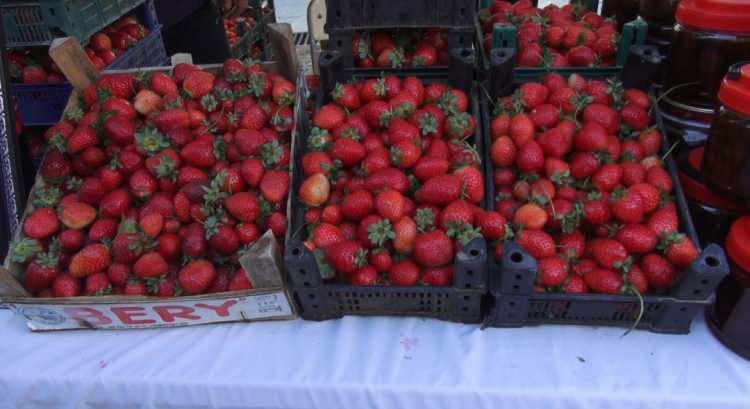 <p>&nbsp;Festivale katılan Erkan Kurt, <strong><em>"Hafta sonu g&uuml;zel, g&uuml;neş g&uuml;zel, Sason g&uuml;zel. Bala baktık, &ccedil;ileğe bakmaya geldik. Sason&rsquo;un g&uuml;zelliklerini daha yakından g&ouml;rmeye geldik."</em></strong> dedi.&nbsp;</p>

<p>&nbsp;</p>

<p>Ailesiyle festivale gelen Mesut Aylan&ccedil; ise,<strong><em> "Ailemle, &ccedil;oluk &ccedil;ocuğumuzla festivalimize geldik. G&uuml;zel eğleniyoruz. Balımızı tanıtıyoruz. B&uuml;t&uuml;n yerli &uuml;r&uuml;nlerimizi tanıtıyoruz. G&uuml;zel bir vakit ge&ccedil;iriyoruz."</em></strong> ifadelerini kullandı.</p>

