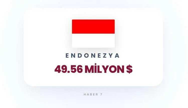 <p><span style="color:inherit"><span style="color:rgb(178, 34, 34)"><strong>ENDONEZYA</strong></span></span></p>

<p>&nbsp;</p>
