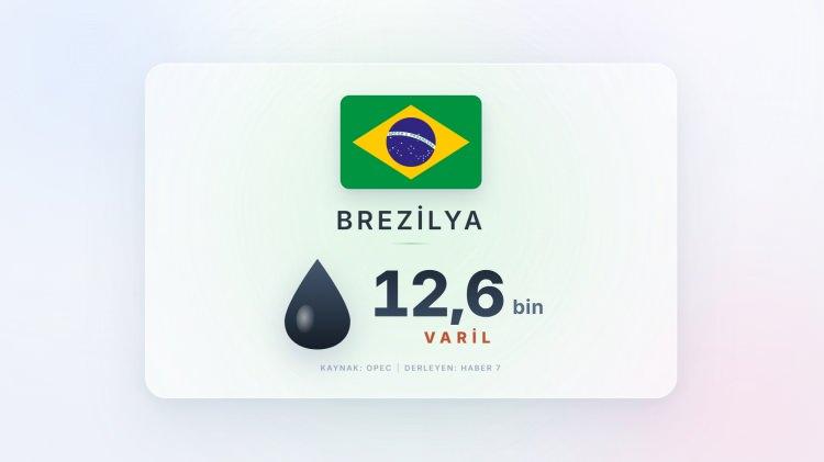 <p><span style="color:#B22222"><strong>BREZİLYA&nbsp; </strong></span><strong>|&nbsp; G&uuml;nde 12,6 bin varil dizel satıyor.</strong></p>
