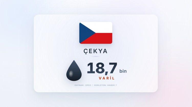 <p><span style="color:#B22222"><strong>&Ccedil;EKYA</strong></span></p>
