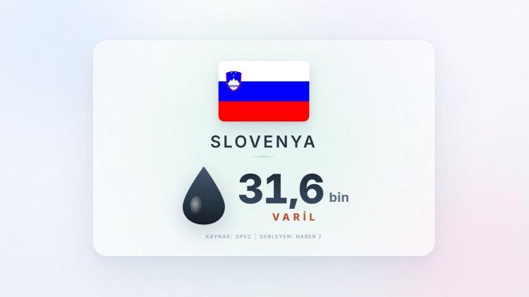 <p><span style="color:#B22222"><strong>SLOVENYA</strong></span></p>
