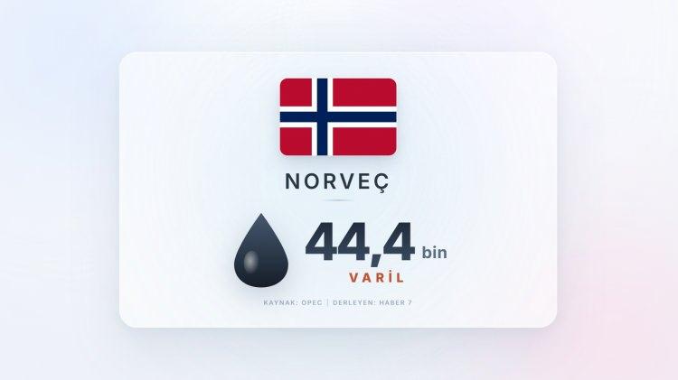 <p><span style="color:#B22222"><strong>NORVE&Ccedil;</strong></span></p>
