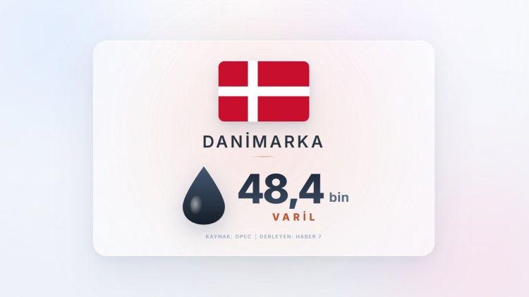 <p><span style="color:#B22222"><strong>DANİMARKA</strong></span></p>
