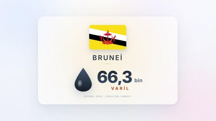 <p><span style="color:#B22222"><strong>BRUNEI</strong></span></p>
