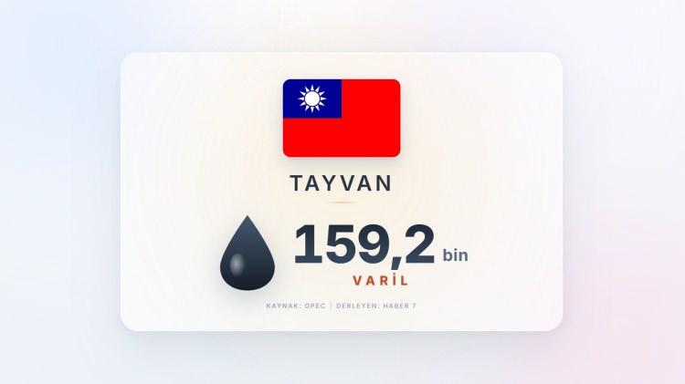 <p><span style="color:#B22222"><strong>14)&nbsp; TAYVAN</strong></span></p>
