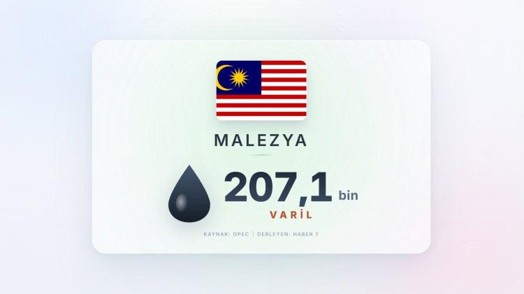 <p><span style="color:#B22222"><strong>11)&nbsp; MALEZYA</strong></span></p>
