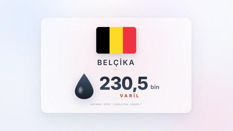 <p><span style="color:#B22222"><strong>9)&nbsp; BEL&Ccedil;İKA</strong></span></p>
