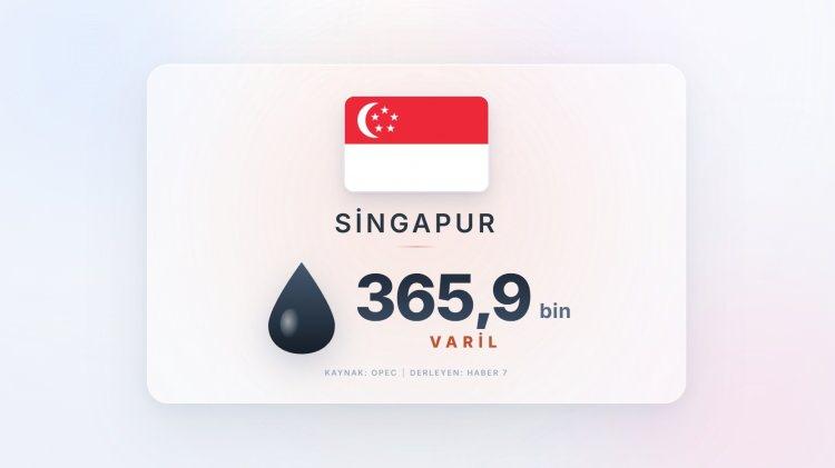 <p><span style="color:#B22222"><strong>7)&nbsp; SİNGAPUR</strong></span></p>
