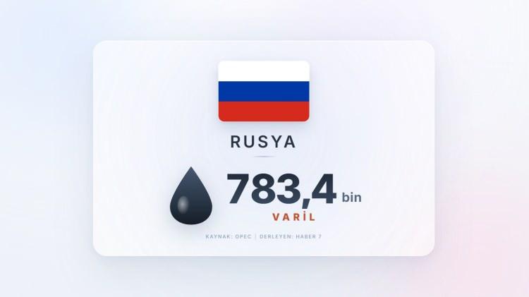 <p><span style="color:#B22222"><strong>2)&nbsp; RUSYA</strong></span></p>
