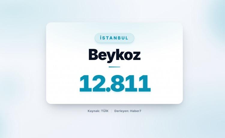 <p><strong><span style="color:#B22222">85)&nbsp; BEYKOZ&nbsp;</span> |&nbsp; İstanbul</strong></p>

