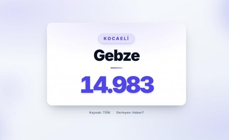 <p><strong><span style="color:#B22222">66)&nbsp; GEBZE&nbsp;</span> |&nbsp; Kocaeli</strong></p>
