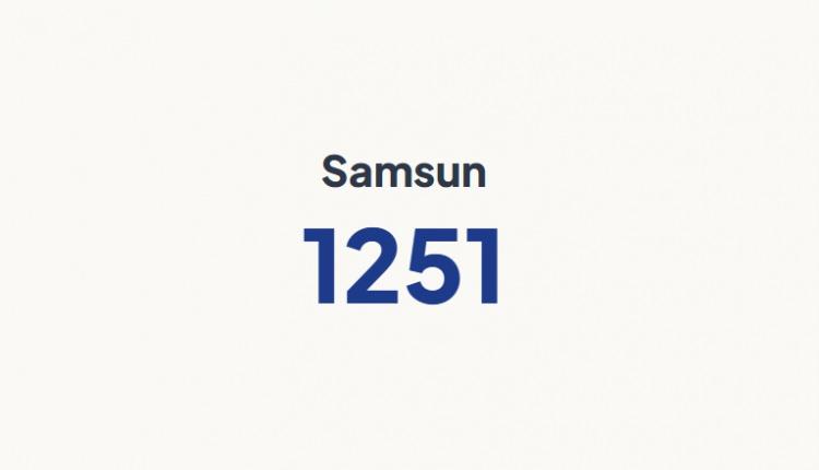 <p>SAMSUN&nbsp;</p>
