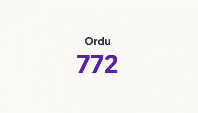 <p>ORDU&nbsp;</p>
