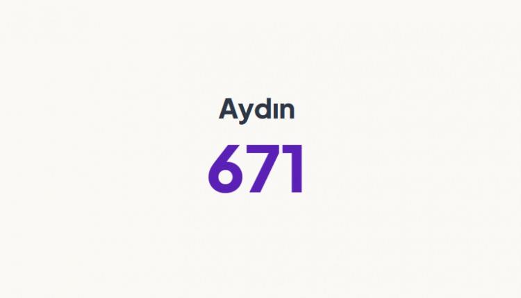 <p>AYDIN&nbsp;</p>
