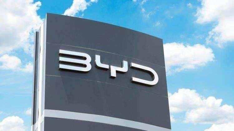 <p><span style="color:#B22222"><strong>BYD</strong></span></p>
