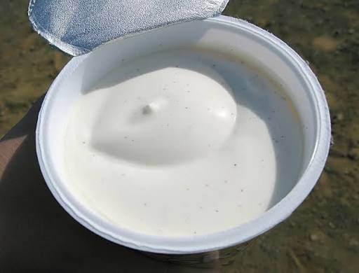 <p><span style="color:#B22222"><strong>SKYR (TAZE PEYNİR BENZERİ S&Uuml;T &Uuml;R&Uuml;N&Uuml;) &ndash;</strong></span></p>

<p><strong>İZLANDA</strong></p>
