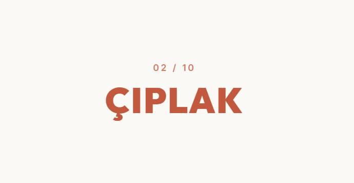 <p><strong>&Ccedil;IPLAK&nbsp;</strong></p>
