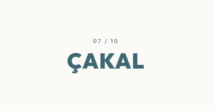 <p><strong>&Ccedil;AKAL&nbsp;</strong></p>
