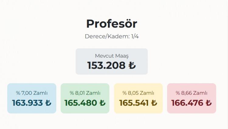 <p>PROFES&Ouml;R</p>
