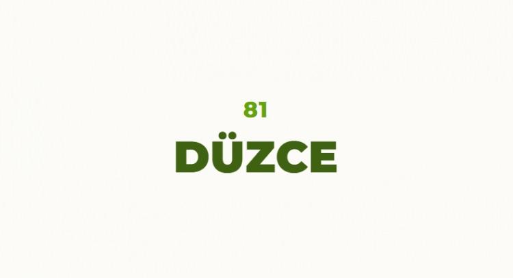 <p>Coğrafi konumundan dolayı bu b&ouml;lge uzun bir s&uuml;re D&uuml;zbazar olarak anılmış daha sonrasında bu b&ouml;lgede kurulan pazara da aynı isim verilmiş. D&uuml;zce il olduğunda ise hep anılan isminin kullanılması uygun g&ouml;r&uuml;lm&uuml;ş.</p>

<p>&nbsp;</p>
