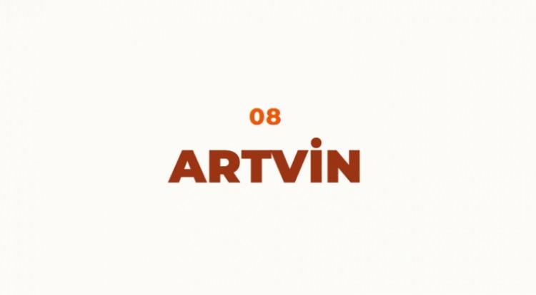 <p>18.y&uuml;zyılın ilk kaynaklarında Artvani olarak ge&ccedil;en Artvin zaman i&ccedil;erisinde Artvin'e evrilmiştir. Ama kayıtlara bakıldığında Artvin'in isminin pek &ccedil;ok kez değiştiği de g&ouml;r&uuml;lmektedir. Şehri ilk kuran T&uuml;rk İskit Beyi b&ouml;lgeye Artvin demiştir, Osmanlı d&ouml;neminde ise şehrin ismi Liva olmuş, 1956 yılında yeniden Artvin olmuştur.</p>
