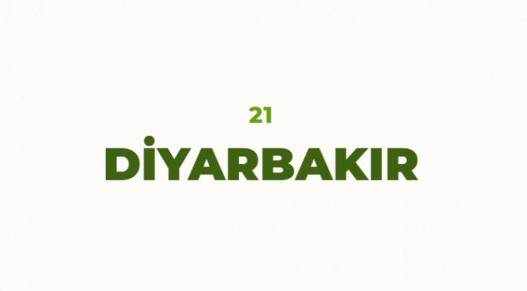 <p>Bakır &uuml;lkesi anlamına gelmektedir. Bu ismin kaynağı Diyar-ı Bekir'dir. Bekir'in memleketi anlamına gelir. Bunun nedeni de Bekir b. Va'il adlı Arap g&ouml;&ccedil;ebe boyunun buraya yerleşmiş olmasından kaynaklanır.</p>

<p>Diyarbakır'ın eskiden kullanılan adı ''Gelen'' anlamına gelen Amid'dir. Dede Korkut kitabında Amid'e Hamid de denilmiştir.</p>
