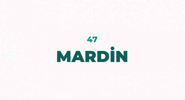 <p>Mardin isminin S&uuml;ryanice bir kelime olan Marde'den geldiği rivayet edilmektedir. Romalılar Maride, Araplar ise Mardin ismini vermiştir.</p>

<p>Bir diğer rivayete g&ouml;re şehrin ismi K&uuml;rt&ccedil;e k&ouml;kenlidir. Mer-din yani erkek, yiğit g&ouml;r&uuml;len anlamına gelir.</p>
