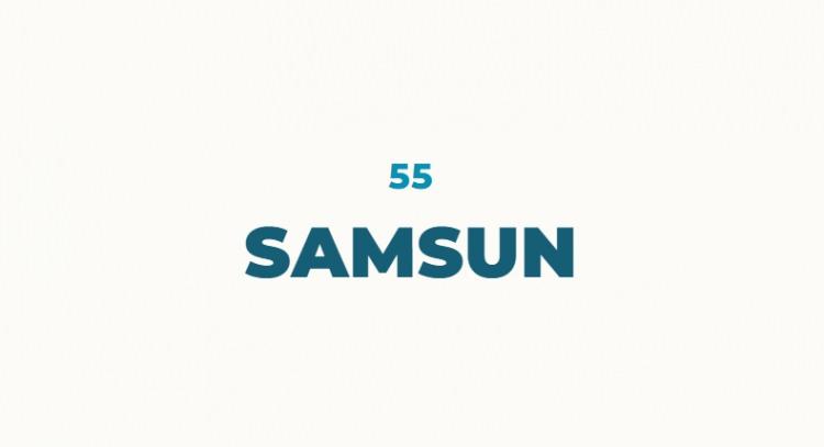 <p>Palask&ccedil;a k&ouml;kenli olan Amisos kelimesi şehrin ilk isimlerinden biridir. B&ouml;lgeye T&uuml;rkler geldikten sonra Amisos kelimesi Samsun şeklinde t&uuml;retilmiştir. O d&ouml;nemin kayıtlarına bakıldığında şehir i&ccedil;in T&uuml;rkler Samsun derken Batılı kaynaklar Sampson demektedir.</p>
