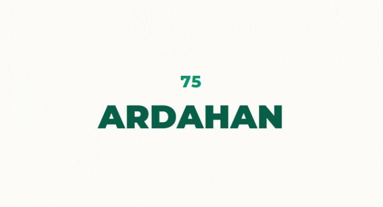 <p>Şehrin ismi G&uuml;rc&uuml; k&ouml;kenlidir. Ardana ve Artani ismi kullanılmış, daha sonrasında b&ouml;lgeye Osmanlıların gelmesi ile Ardahan denilmeye başlanmıştır.</p>
