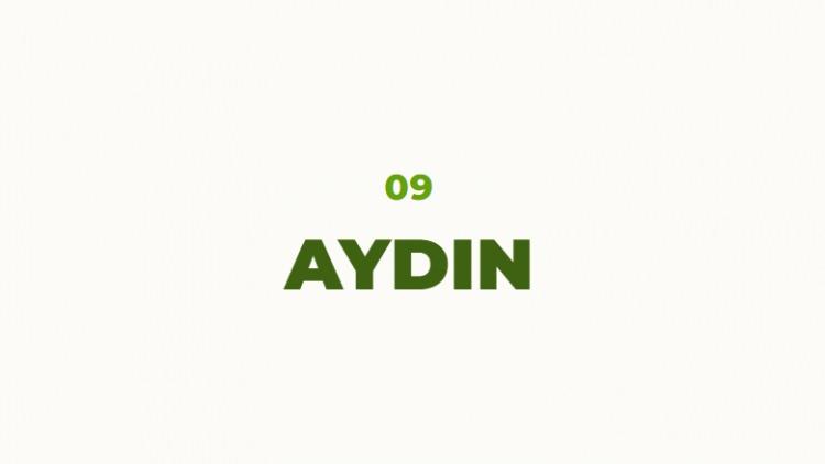<p>Argoslular tarafından kurulan şehir Aydın ismini bir T&uuml;rk beyliği olan Aydınoğulları'ndan almıştır. 14.y&uuml;zyılda şehir Aydınoğulları beyliğine ge&ccedil;ince şehrin ismini Aydın yapmışlardır.</p>

<p>&nbsp;</p>
