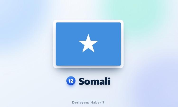 <p><span style="color:#B22222"><strong>12)&nbsp; SOMALİ</strong></span></p>
